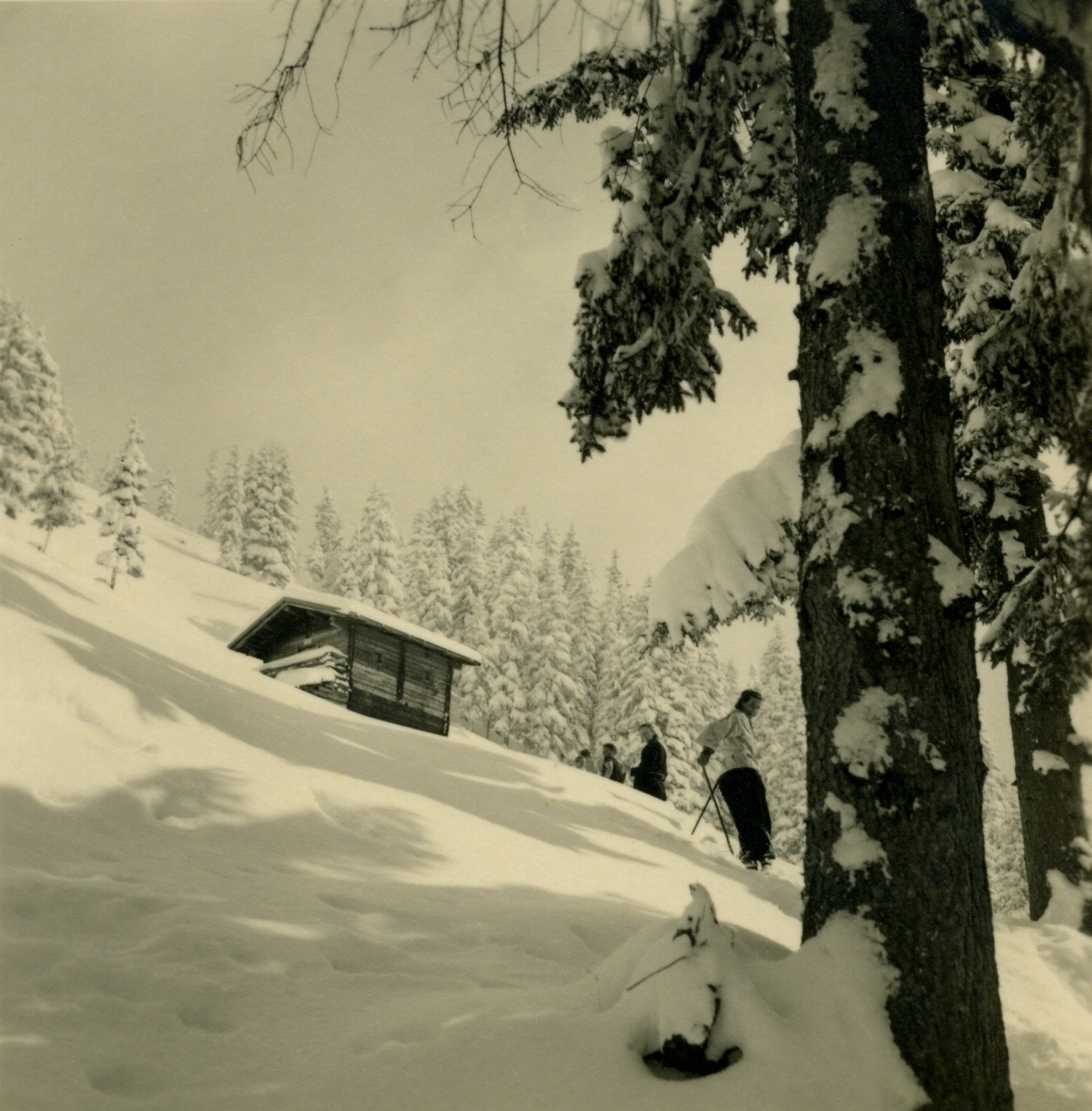 Alpbach Schatzeberg 1939