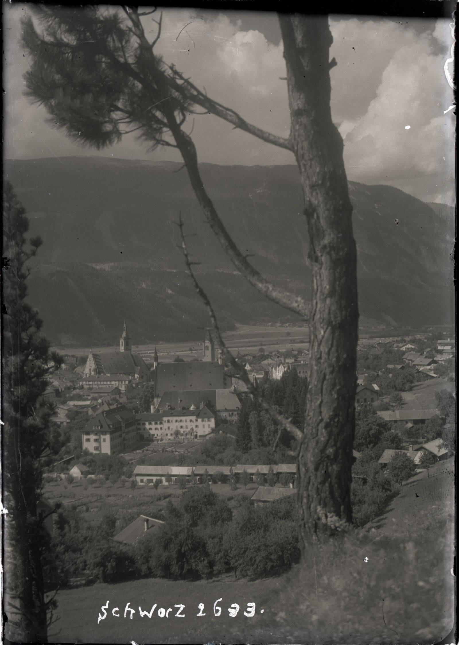 Schwaz mit Baum