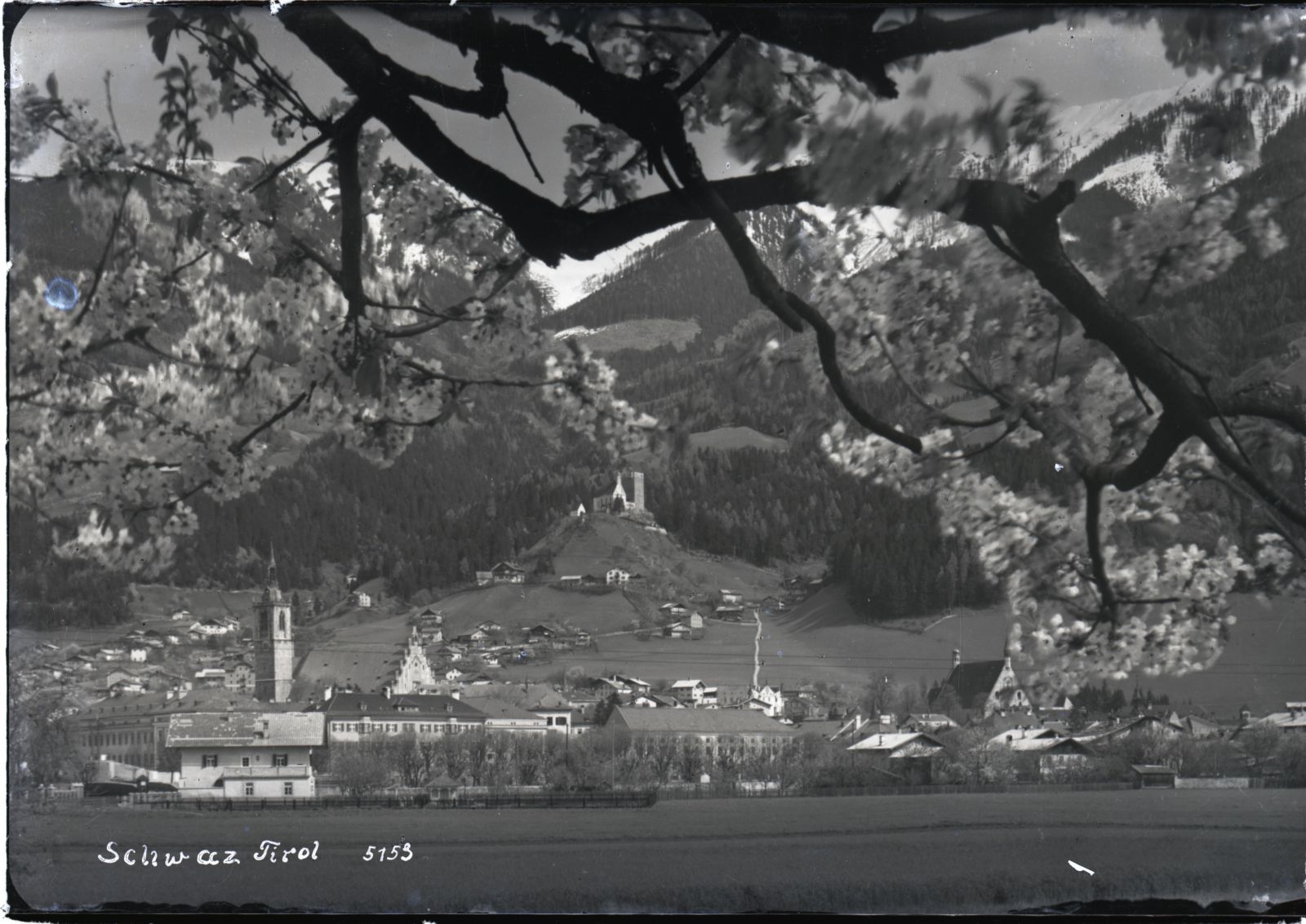 Schwaz mit blühendem Baum, Pfarrkirche, Freundsberg