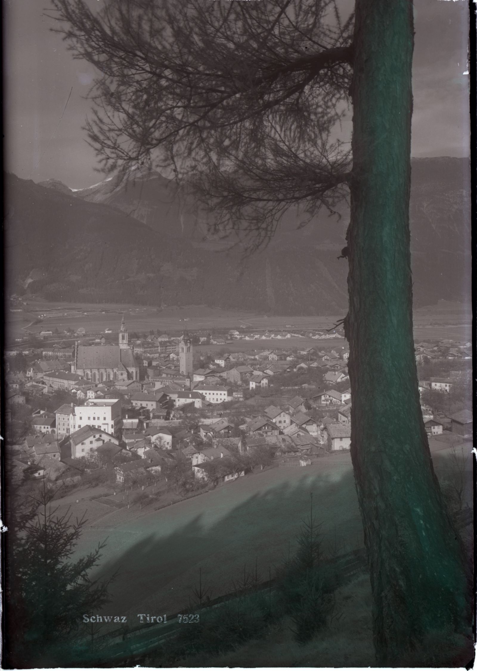 Schwaz mit Baum