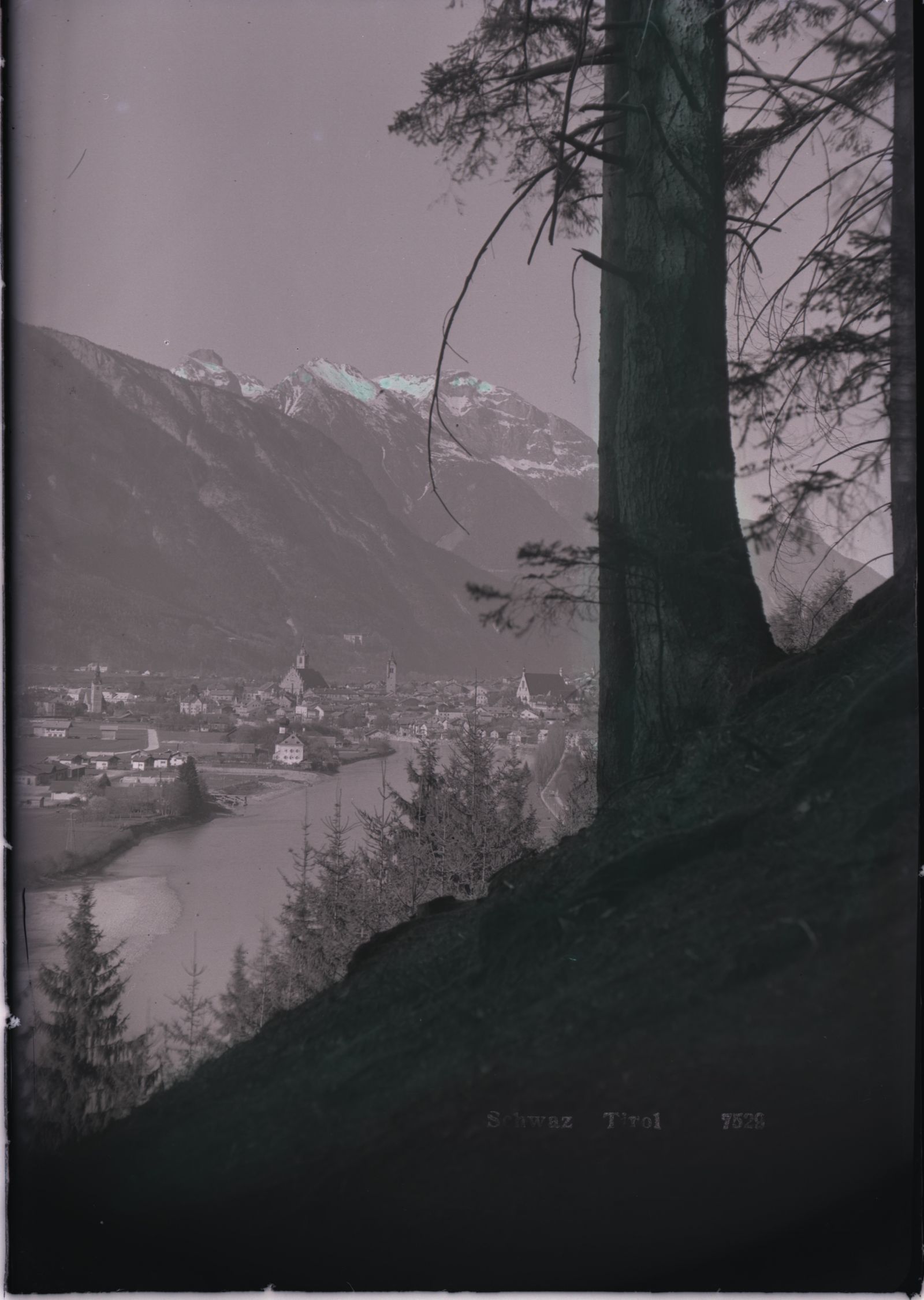 Schwaz mit Baum