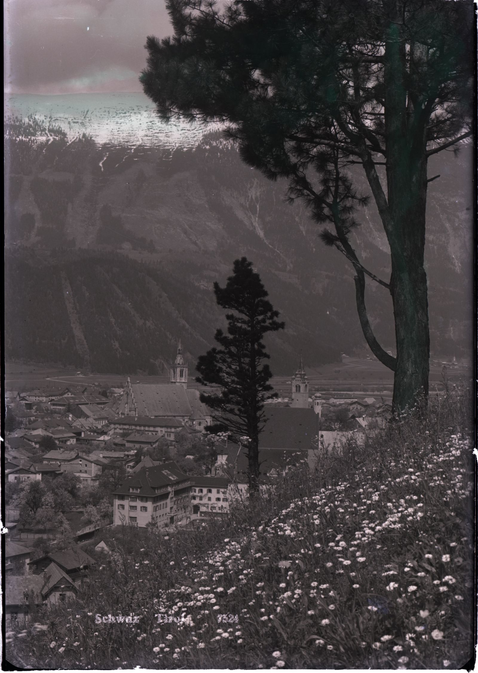 Schwaz mit Baum