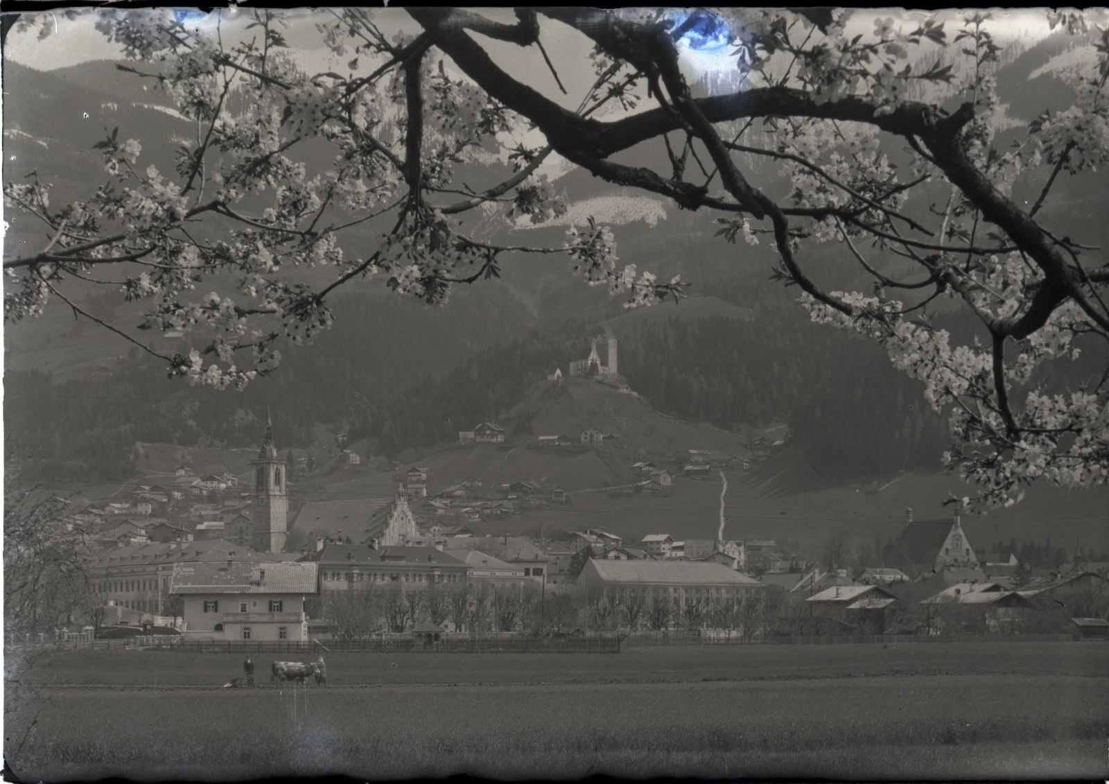 Schwaz mit blühendem Baum, Tabakfabrik, Bauer mit Ochsengespann auf Feld