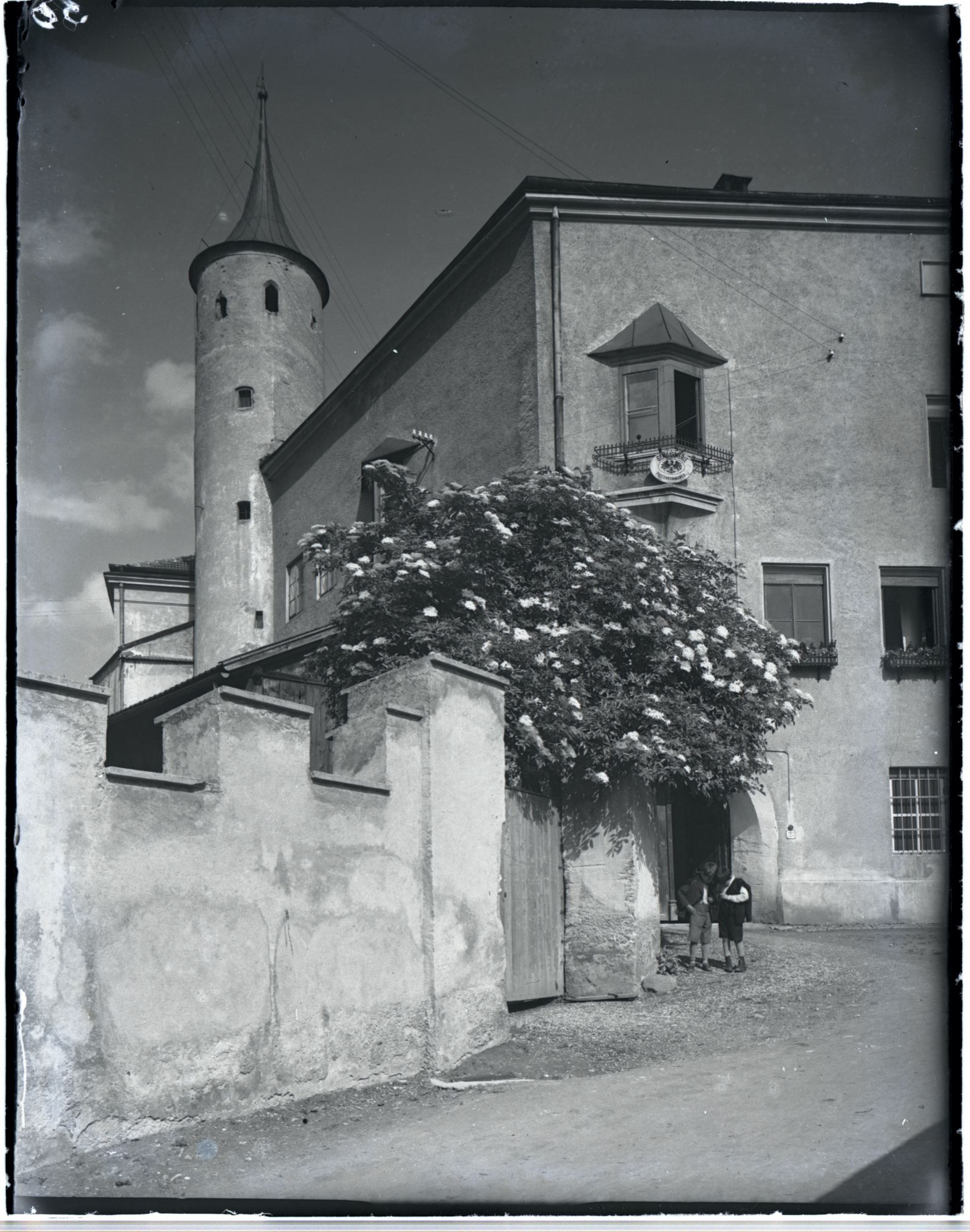 Gerichtsgebäude mit blühenden Baum