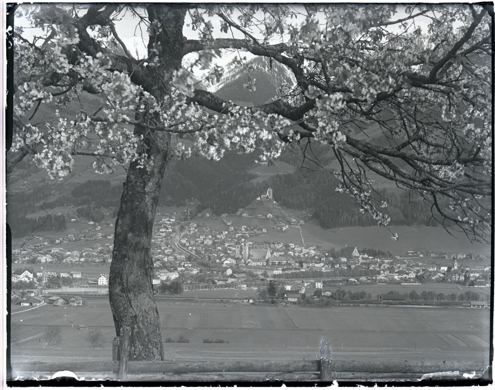 Schwaz mit blühenden Baum von Allee aus