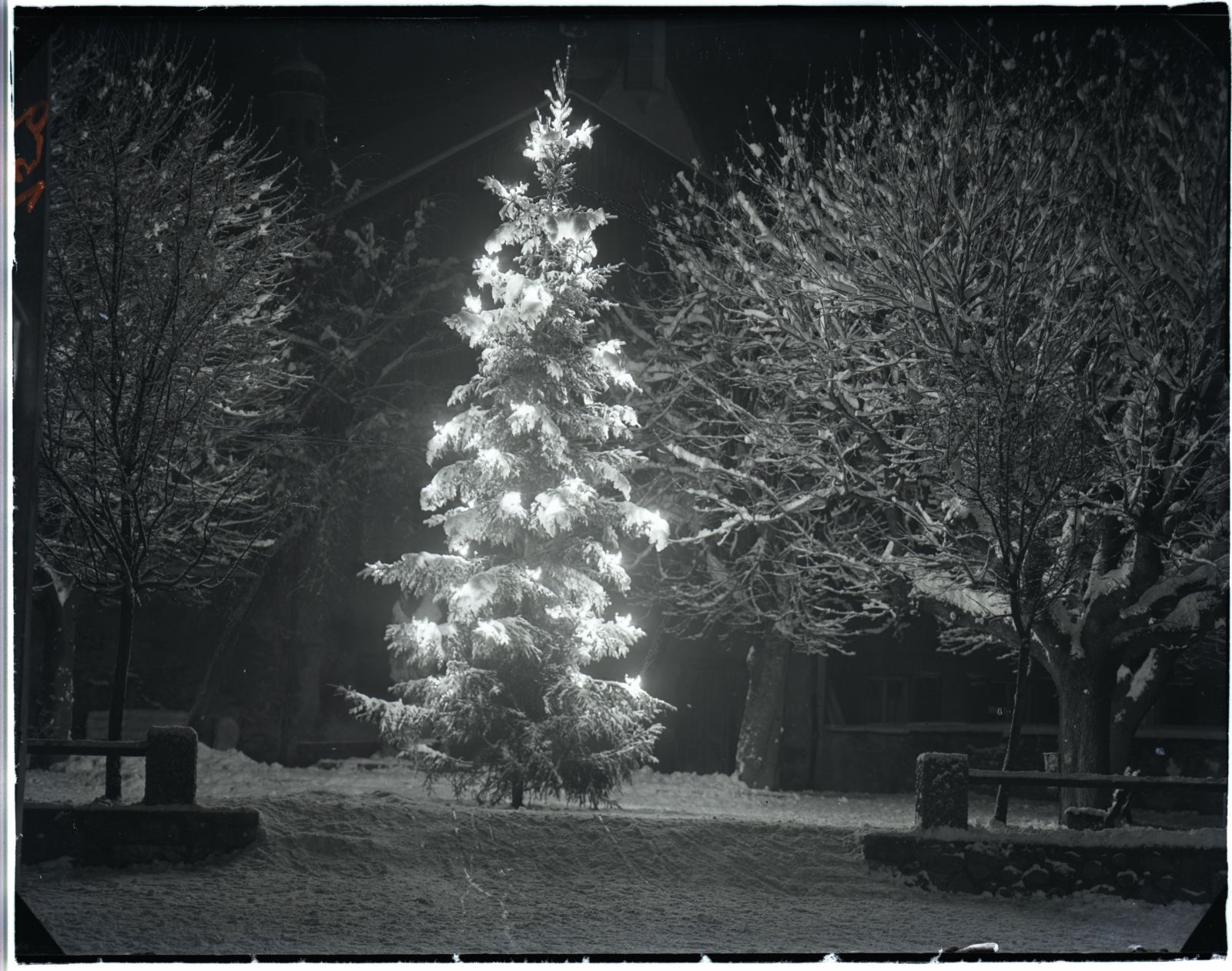 Weihnachtsbaum am Barbaraplatz /Pfundplatz