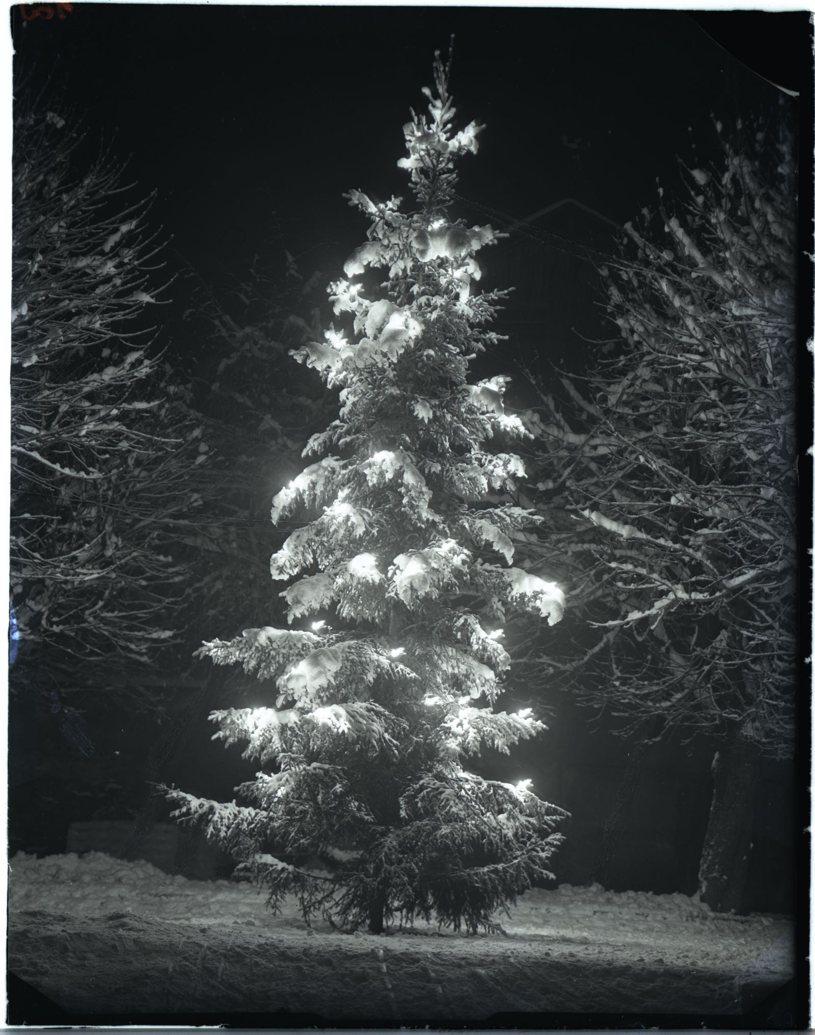 Weihnachtsbaum, hoch, Barbaraplatz/ Pfundplatz