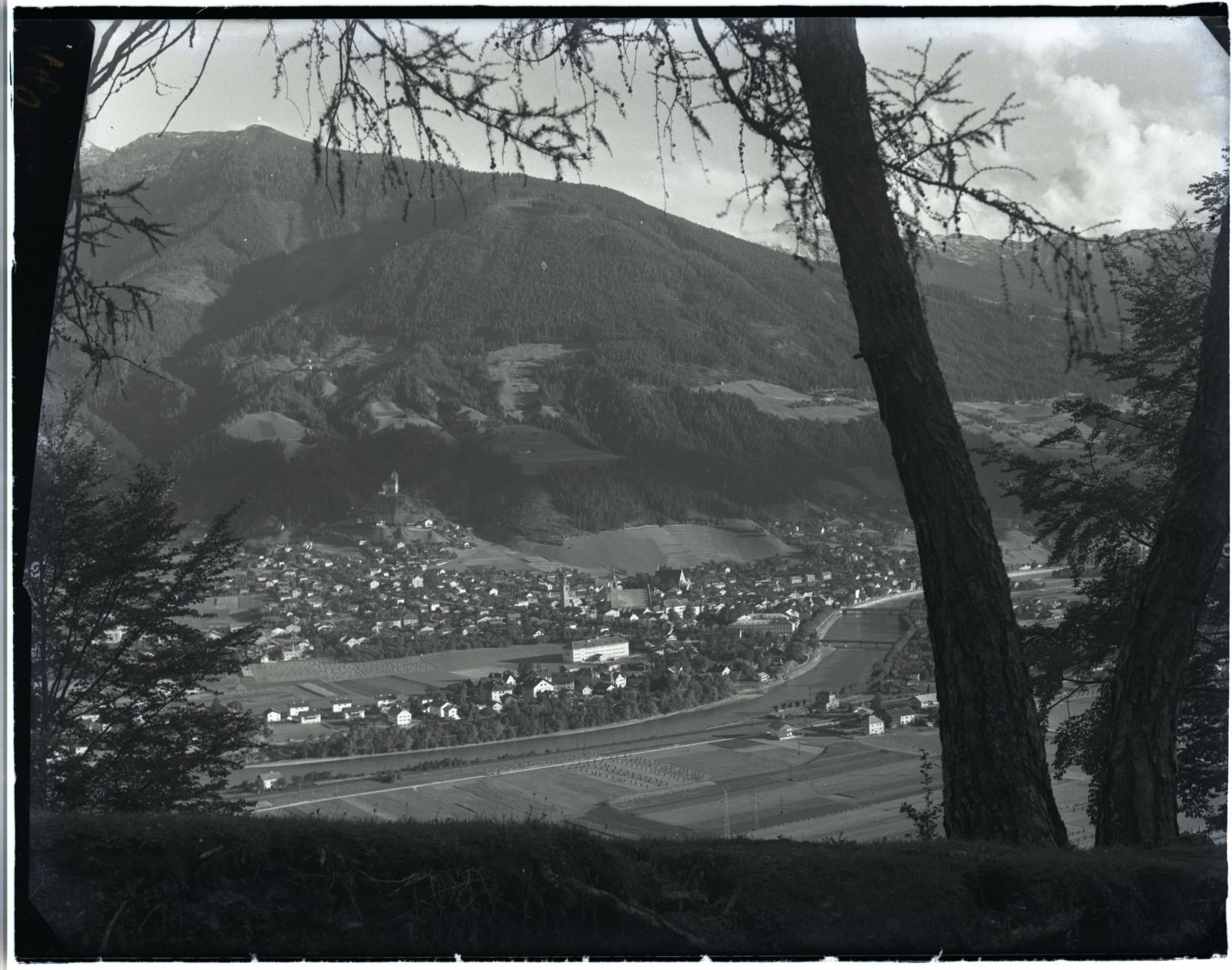 Schwaz im Sommer mit Baum