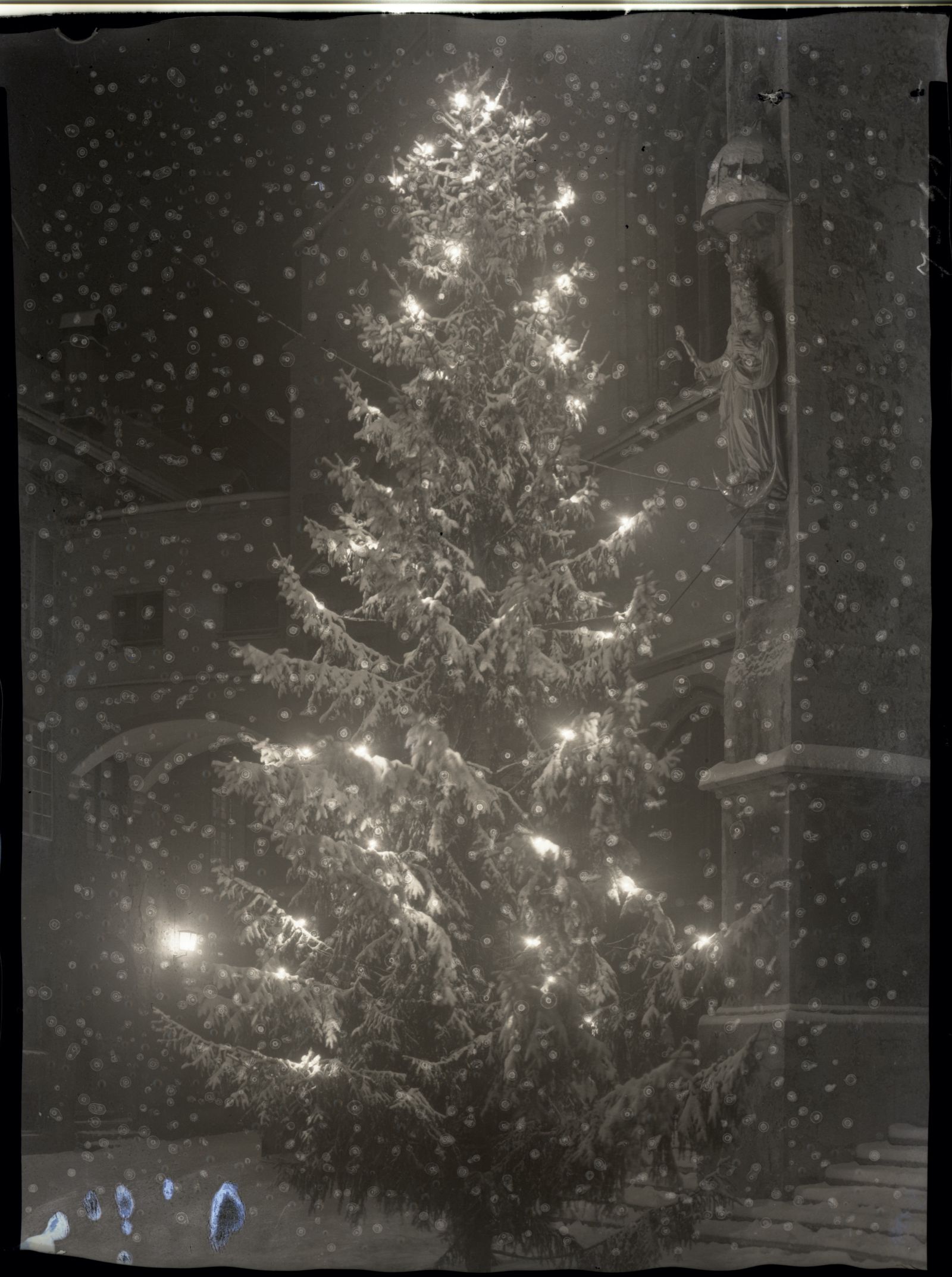 Schwaz, Christbaum vor Pfarrkirche