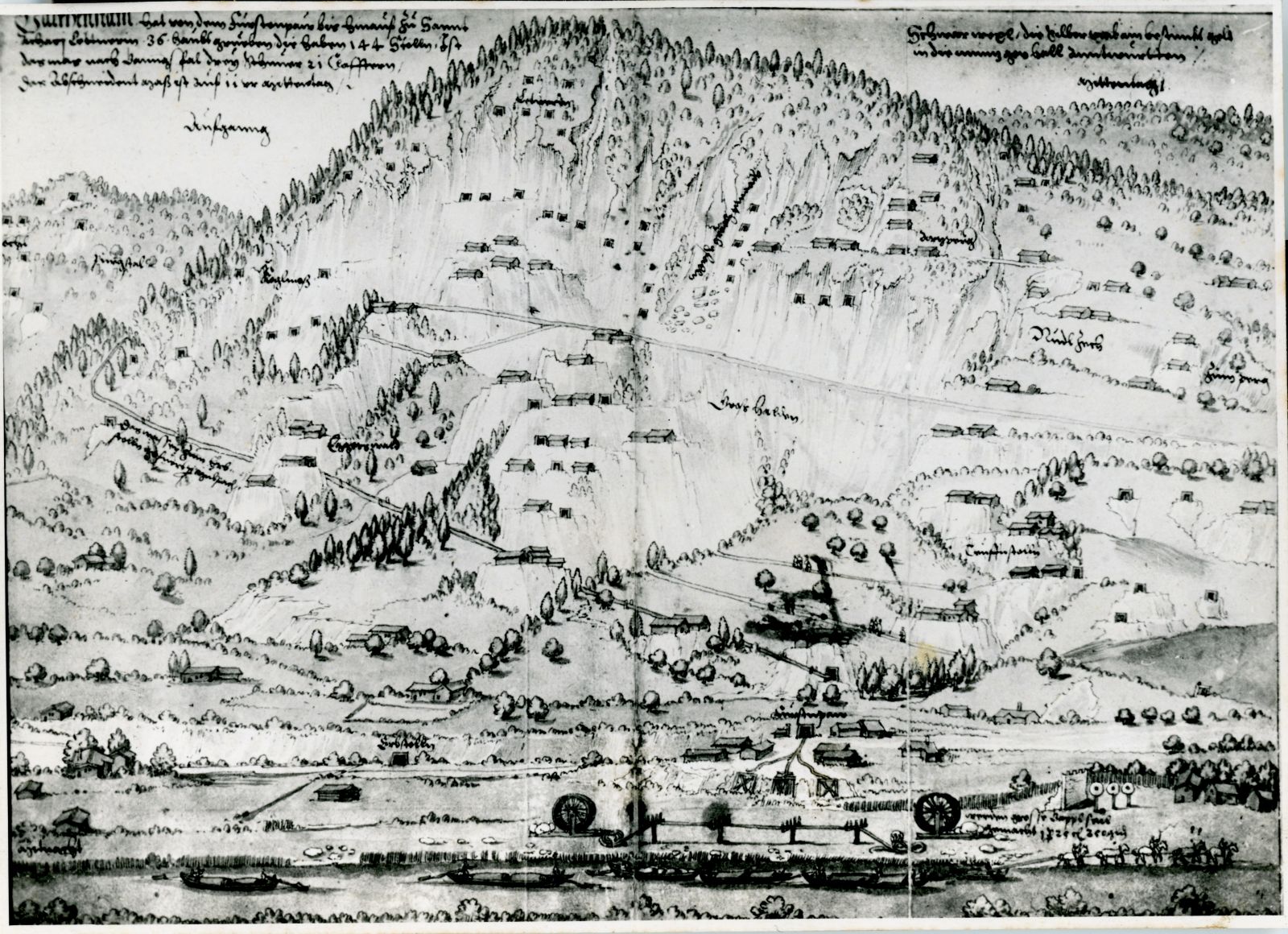 Falkenstein-Karte 1556