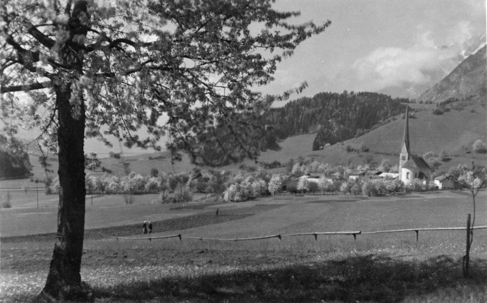 Wiesing 1940 b